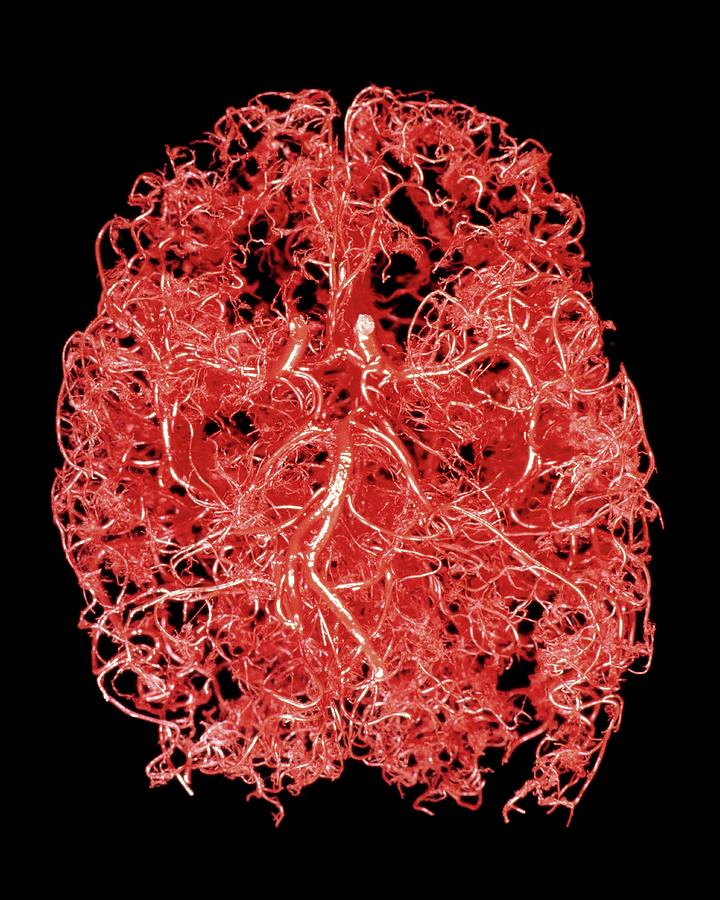 Blood and phosphorus